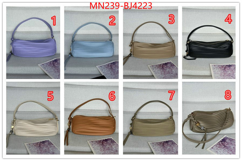 Loewe Bags(TOP)-Crossbody- store ID: BJ4223 $: 239USD,