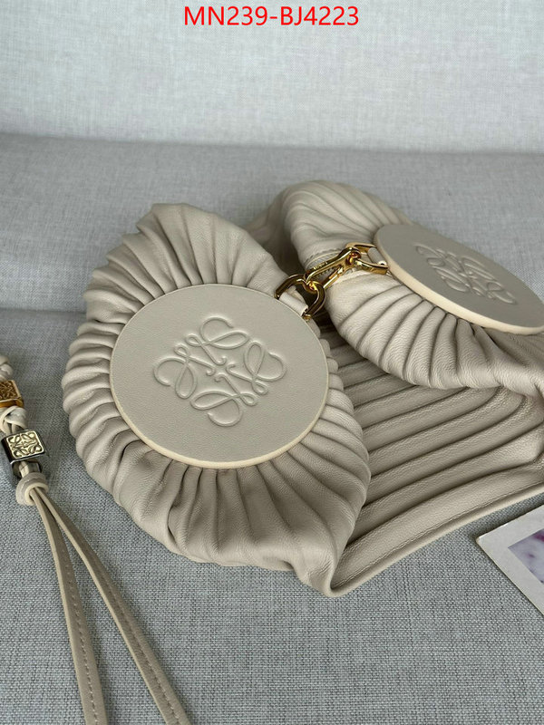Loewe Bags(TOP)-Crossbody- store ID: BJ4223 $: 239USD,