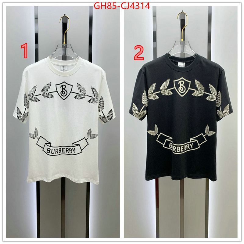 Clothing-Burberry replica designer ID: CJ4314 $: 85USD