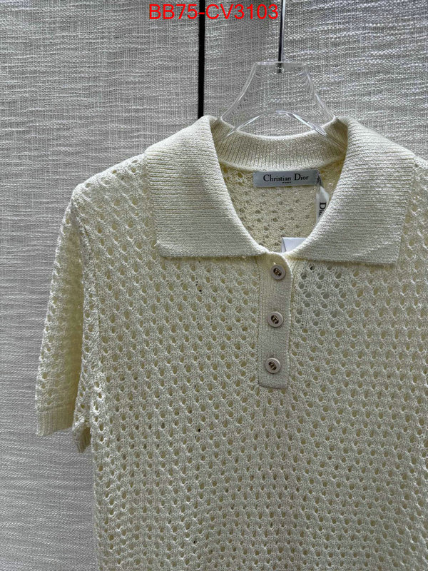 Clothing-Dior designer 7 star replica ID: CV3103 $: 75USD