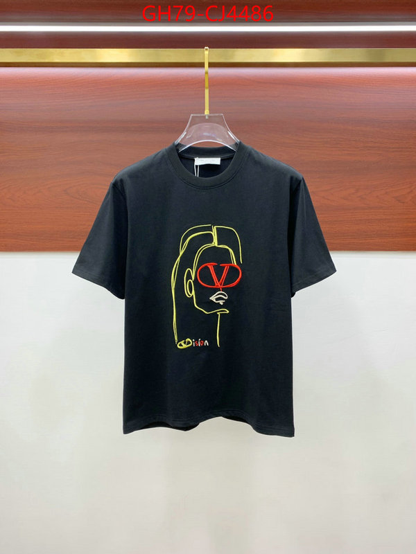 Clothing-Valentino from china ID: CJ4486 $: 79USD