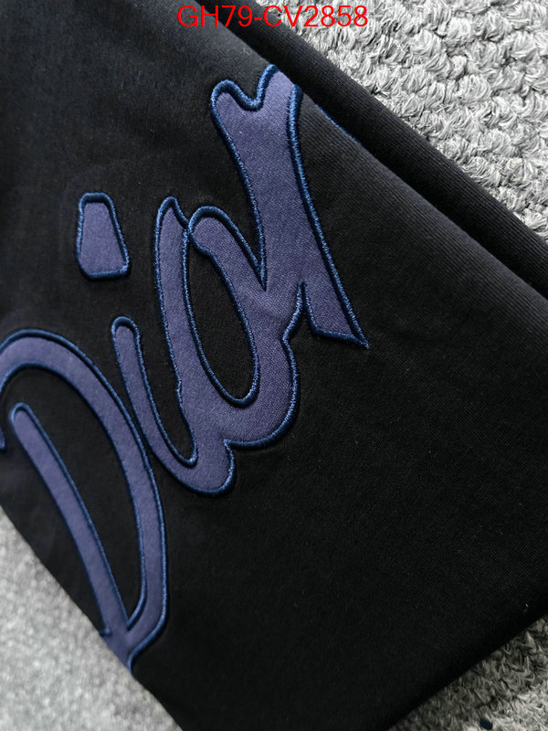 Clothing-Dior customize best quality replica ID: CV2858 $: 79USD
