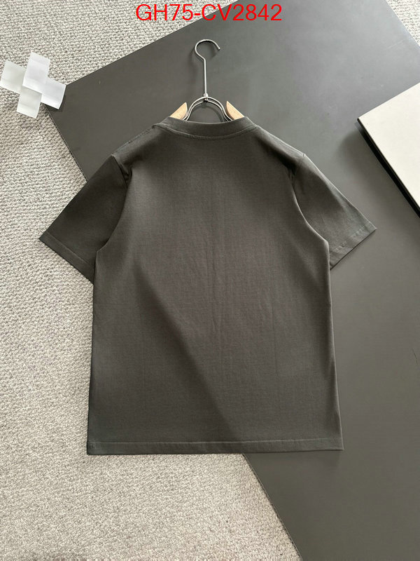 Clothing-DG aaaaa+ replica ID: CV2842 $: 75USD