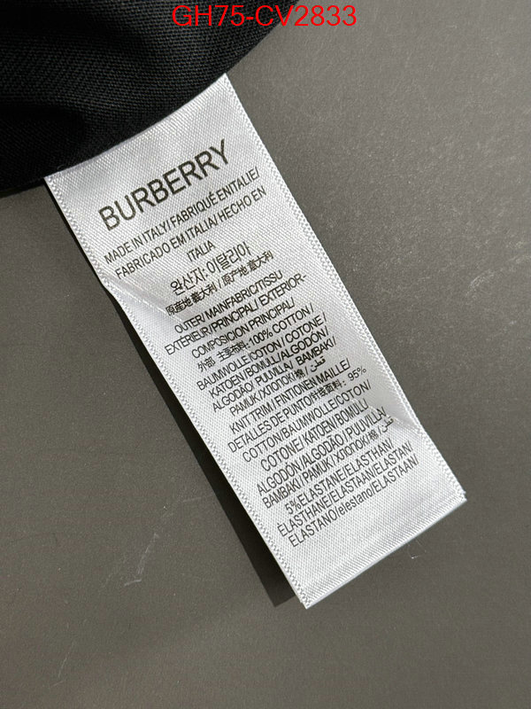 Clothing-Burberry replica designer ID: CV2833 $: 75USD