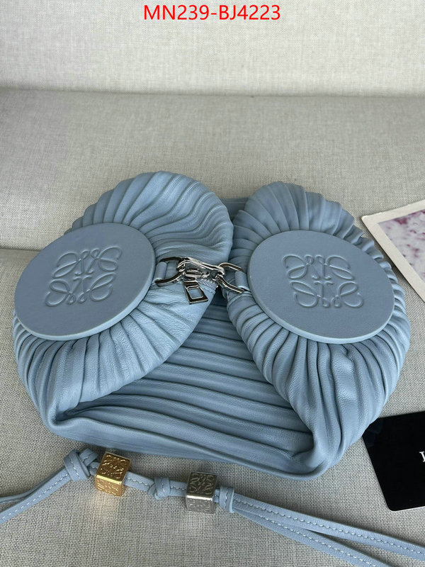 Loewe Bags(TOP)-Crossbody- store ID: BJ4223 $: 239USD,