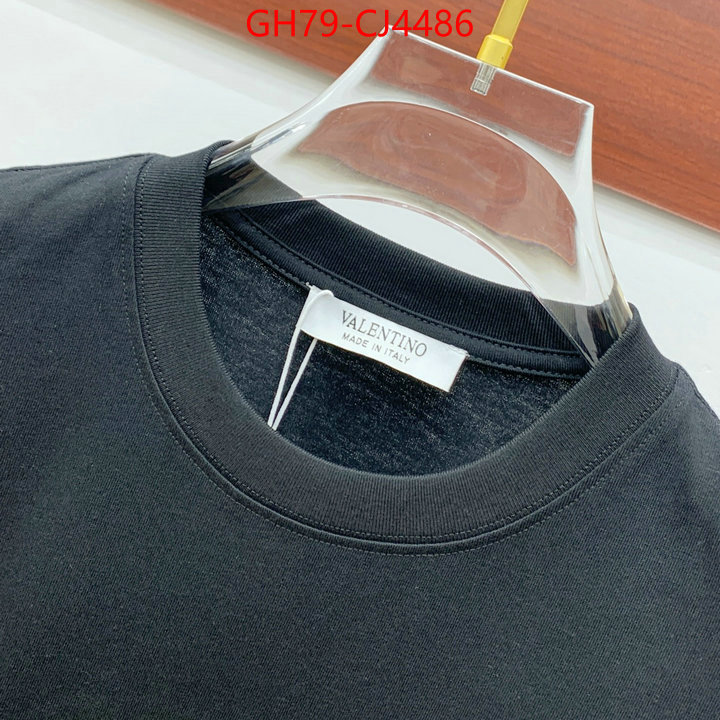 Clothing-Valentino from china ID: CJ4486 $: 79USD