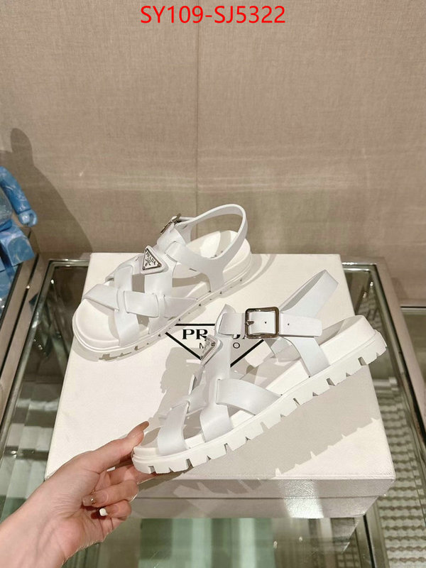 Women Shoes-Prada luxury shop ID: SJ5322 $: 109USD