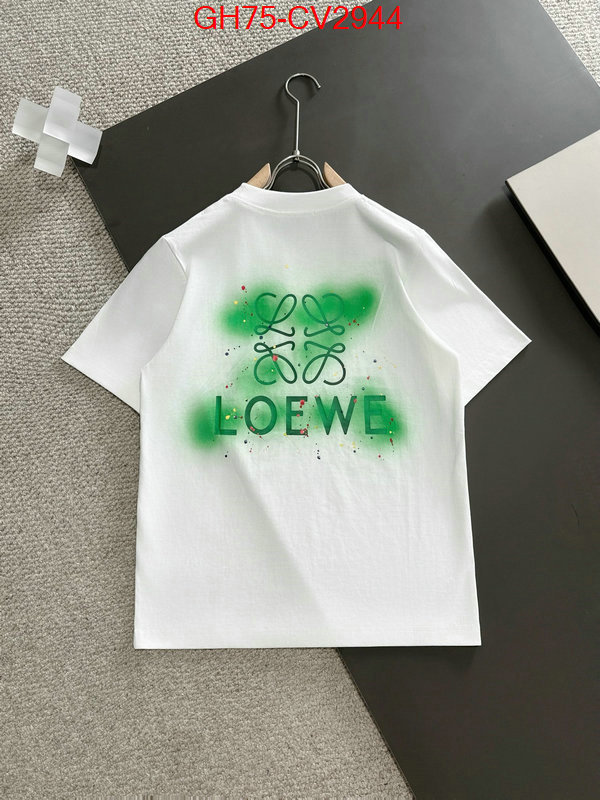 Clothing-Loewe luxury shop ID: CV2944 $: 75USD