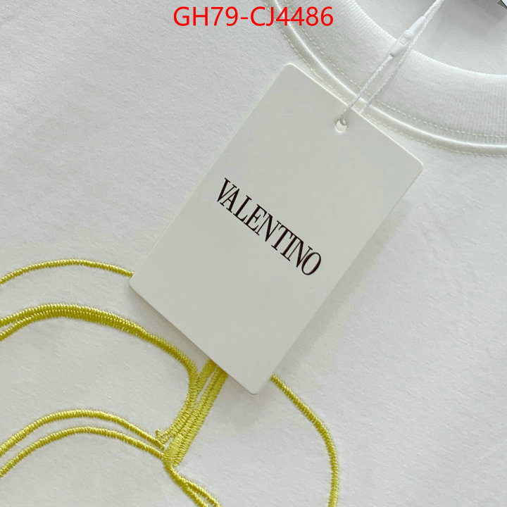 Clothing-Valentino from china ID: CJ4486 $: 79USD