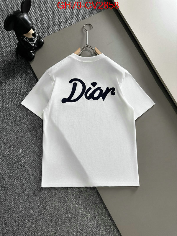 Clothing-Dior customize best quality replica ID: CV2858 $: 79USD