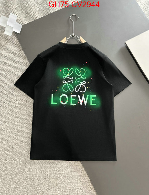 Clothing-Loewe luxury shop ID: CV2944 $: 75USD