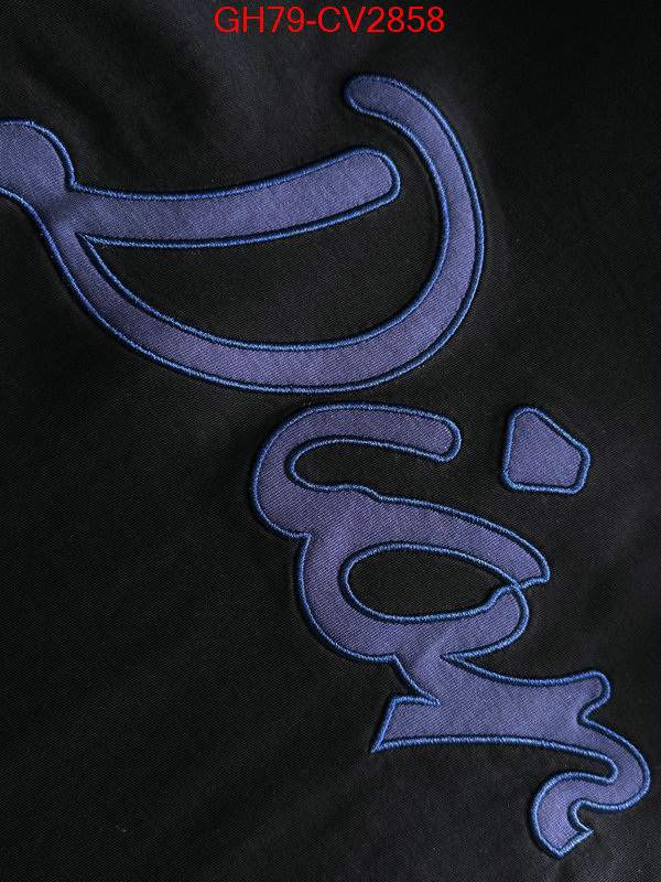 Clothing-Dior customize best quality replica ID: CV2858 $: 79USD