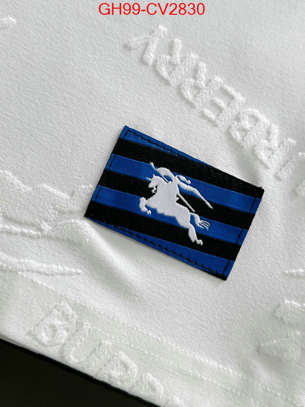 Clothing-Burberry perfect quality ID: CV2830 $: 99USD