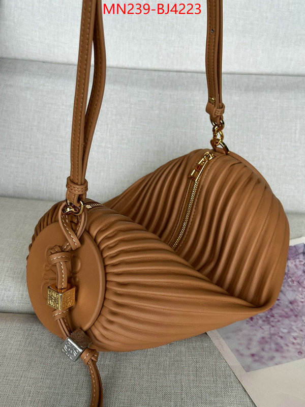 Loewe Bags(TOP)-Crossbody- store ID: BJ4223 $: 239USD,