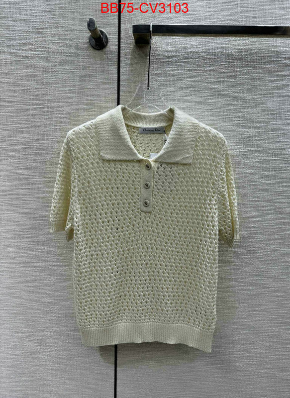 Clothing-Dior designer 7 star replica ID: CV3103 $: 75USD
