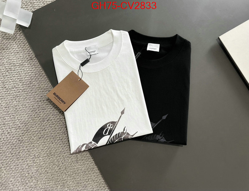Clothing-Burberry replica designer ID: CV2833 $: 75USD