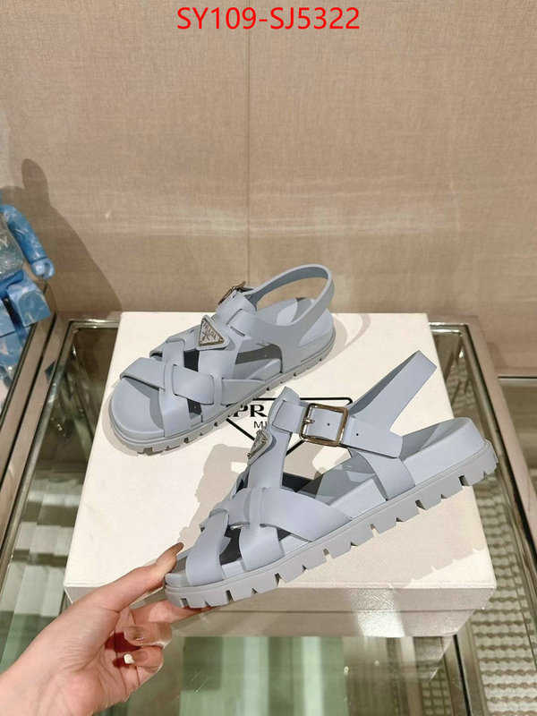 Women Shoes-Prada luxury shop ID: SJ5322 $: 109USD