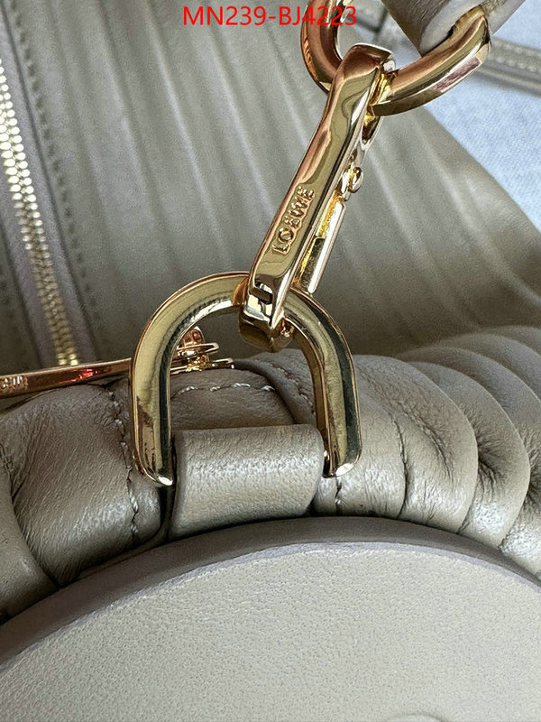 Loewe Bags(TOP)-Crossbody- store ID: BJ4223 $: 239USD,