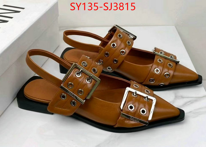 Women Shoes-Ganni best fake ID: SJ3815 $: 135USD