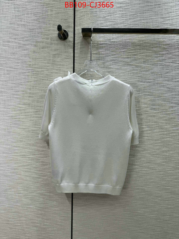 Clothing-Valentino wholesale replica shop ID: CJ3665 $: 109USD