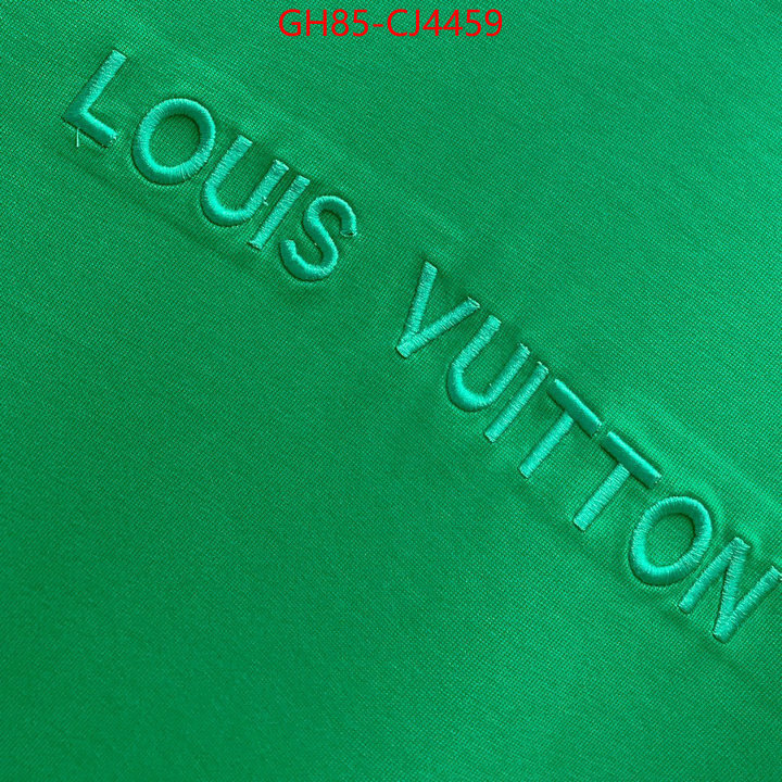 Clothing-LV buy ID: CJ4459 $: 85USD