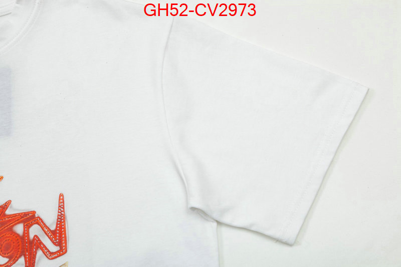 Clothing-LV top quality replica ID: CV2973 $: 52USD
