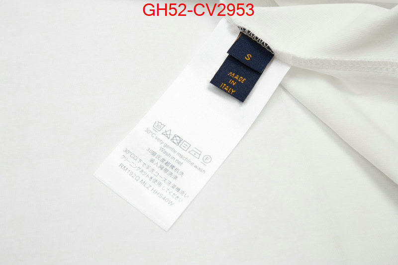 Clothing-LV sell online ID: CV2953 $: 52USD