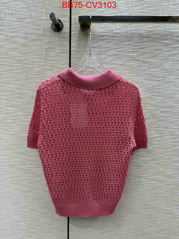 Clothing-Dior designer 7 star replica ID: CV3103 $: 75USD