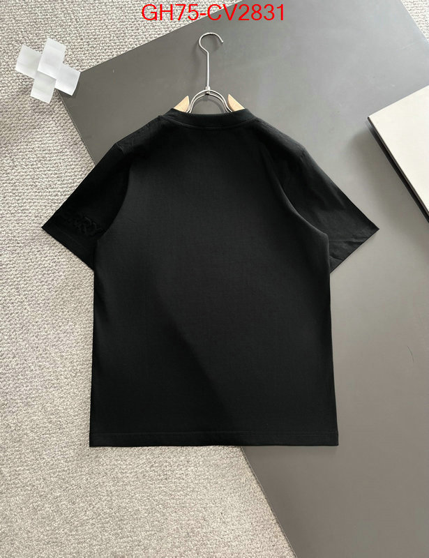 Clothing-Burberry designer 1:1 replica ID: CV2831 $: 75USD