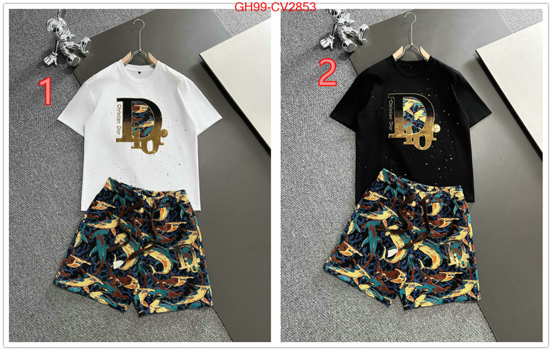 Clothing-Dior highest product quality ID: CV2853 $: 99USD