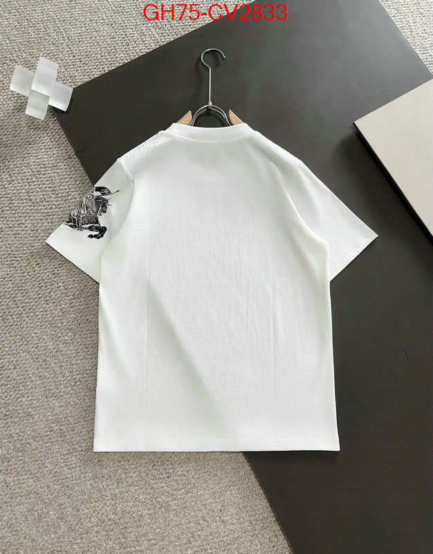 Clothing-Burberry replica designer ID: CV2833 $: 75USD