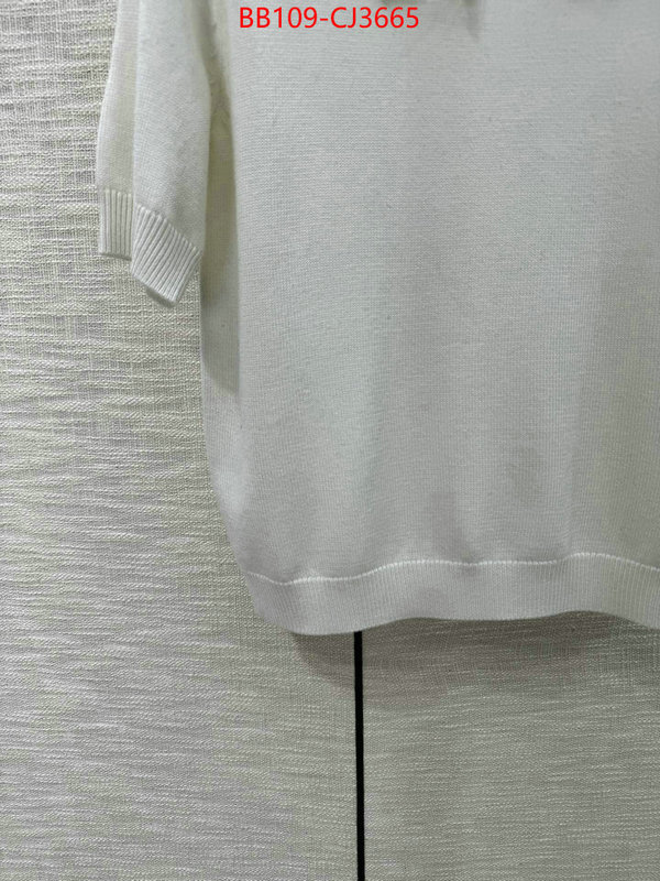 Clothing-Valentino wholesale replica shop ID: CJ3665 $: 109USD