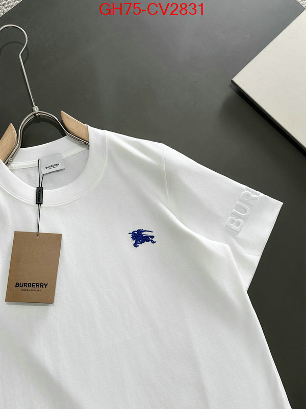 Clothing-Burberry designer 1:1 replica ID: CV2831 $: 75USD