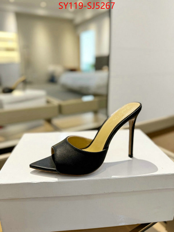 Women Shoes-Gianvito Rossi supplier in china ID: SJ5267 $: 119USD