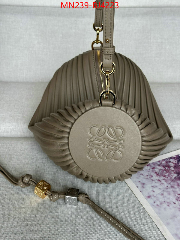 Loewe Bags(TOP)-Crossbody- store ID: BJ4223 $: 239USD,