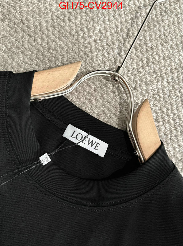 Clothing-Loewe luxury shop ID: CV2944 $: 75USD