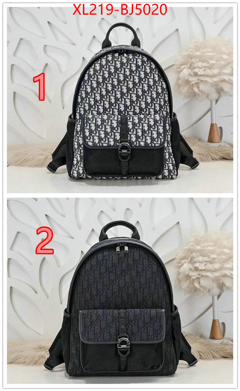 Dior Bags(TOP)-Backpack- replica 1:1 ID: BJ5020 $: 219USD,