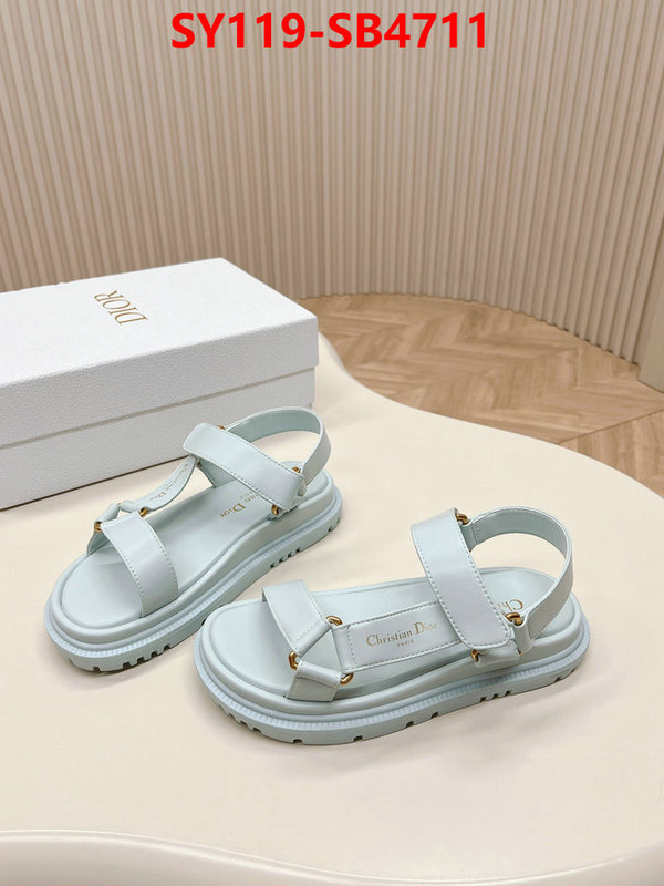 Women Shoes-Dior the best affordable ID: SB4711 $: 119USD