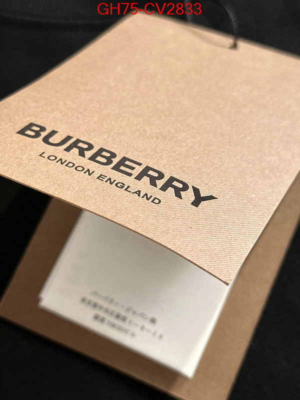 Clothing-Burberry replica designer ID: CV2833 $: 75USD