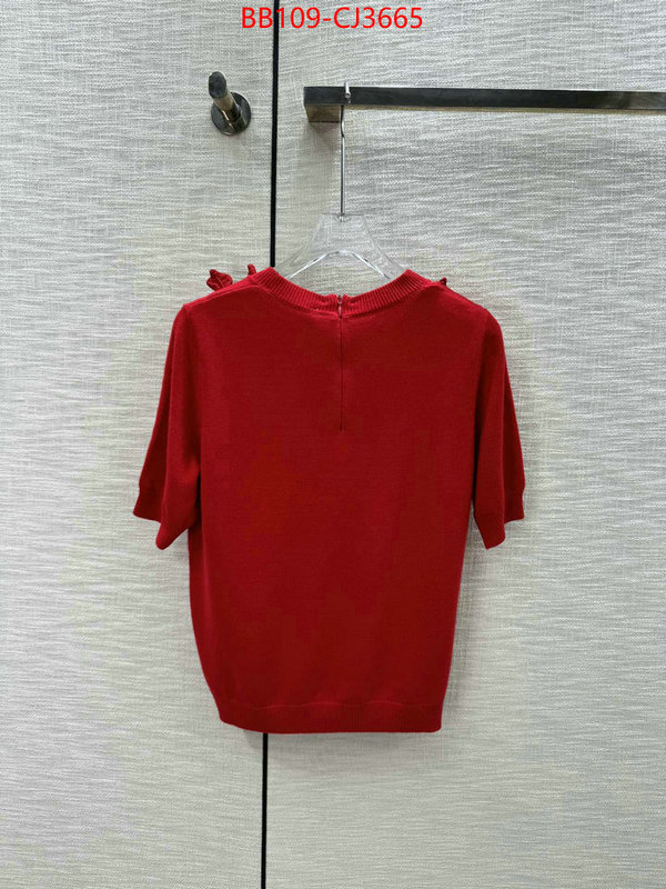 Clothing-Valentino wholesale replica shop ID: CJ3665 $: 109USD