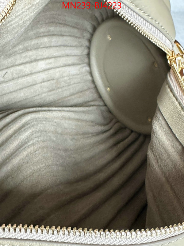 Loewe Bags(TOP)-Crossbody- store ID: BJ4223 $: 239USD,