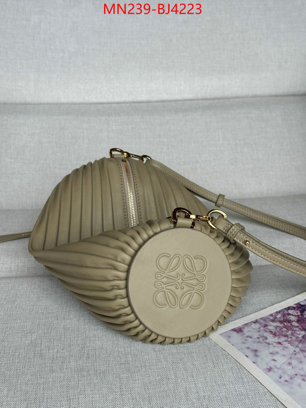 Loewe Bags(TOP)-Crossbody- store ID: BJ4223 $: 239USD,