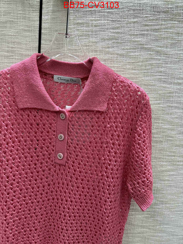 Clothing-Dior designer 7 star replica ID: CV3103 $: 75USD
