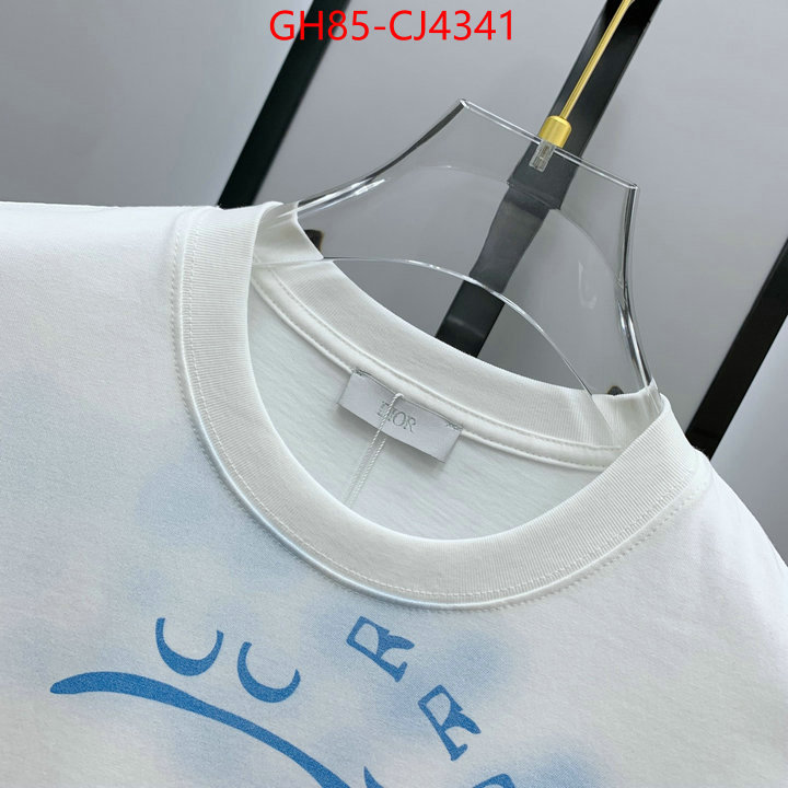 Clothing-Dior sale outlet online ID: CJ4341 $: 85USD