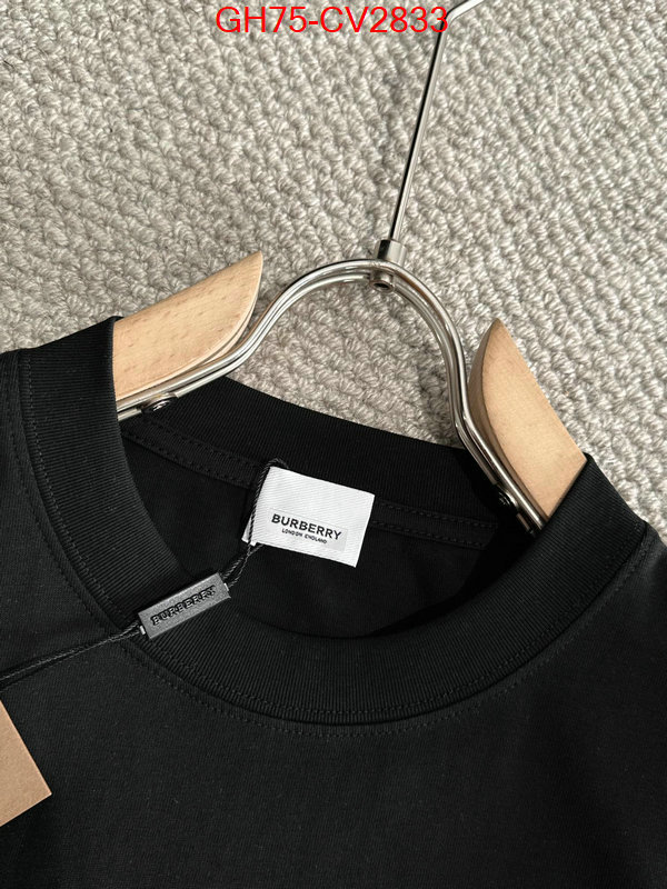 Clothing-Burberry replica designer ID: CV2833 $: 75USD