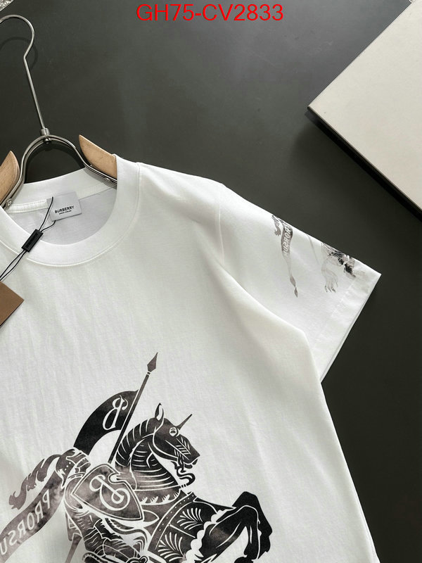 Clothing-Burberry replica designer ID: CV2833 $: 75USD