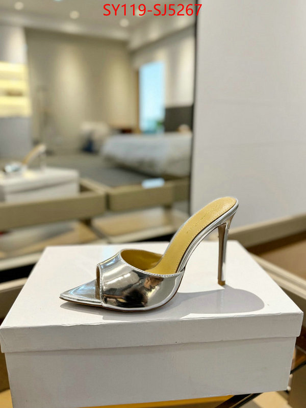 Women Shoes-Gianvito Rossi supplier in china ID: SJ5267 $: 119USD