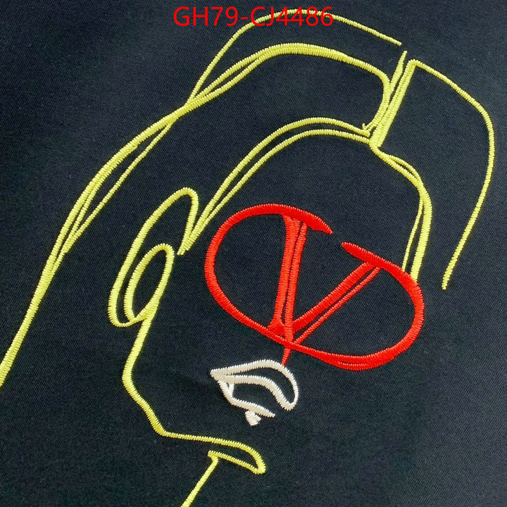 Clothing-Valentino from china ID: CJ4486 $: 79USD