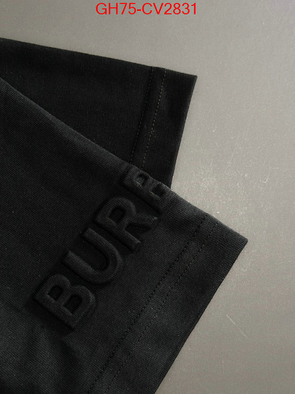 Clothing-Burberry designer 1:1 replica ID: CV2831 $: 75USD