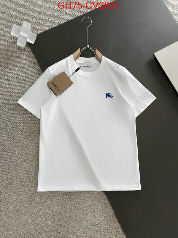 Clothing-Burberry designer 1:1 replica ID: CV2831 $: 75USD